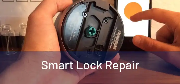 Smart Lock Repair